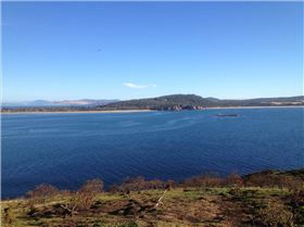 Supping Betsy Island