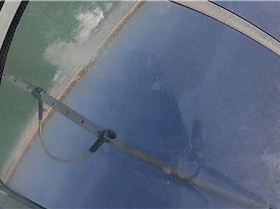 Windurfing on board pics