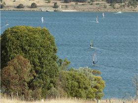 Buzzy clocking up the K's