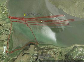 17655-rosevears fail