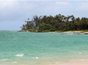 Kanaha looking upwind