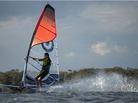 Sony NEX-6 Test  -  Winter Shearwater