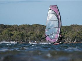 Sony NEX-6 Test     Winter Shearwater