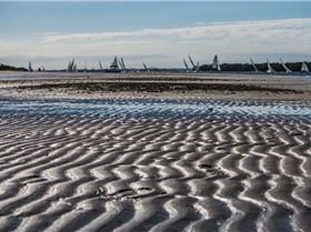 Sony NEX-6 Test     Winter Shearwater