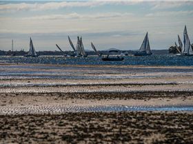 Sony NEX-6 Test     Winter Shearwater