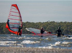 Sony NEX-6 Test     Winter Shearwater