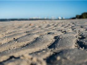 Sony NEX-6 Test     Winter Shearwater