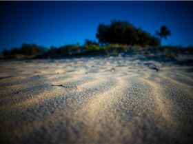 Sony NEX-6 Test     Winter Shearwater