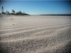 Sony NEX-6 Test     Winter Shearwater