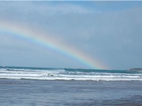 sick day at middleton