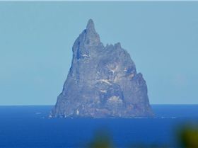 Plenty of kit options