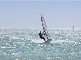 Look at that fat fly!