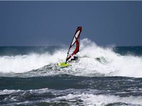 SA Wave States 2013