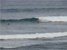 me supping at carlton