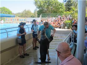 George and Dance partner