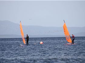 Assorted 01.12.2012 106