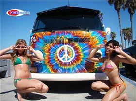 Bus swimsuit bikini models 316-resize