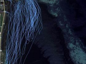 high tide tracks at Lilacs