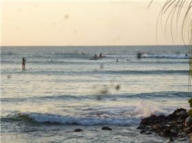 cafe on the beach  surf and NXS board in action