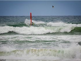 Men's Open - Windang