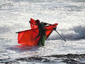 1474589 500439710055178 648122929 n