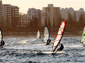 group mool large res