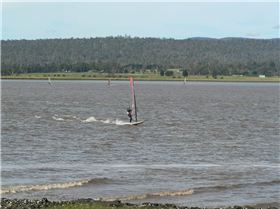 Rosey Seabreeze 1st day of summer