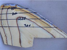 17cm deep, 55deg, 350cm long stainless LE