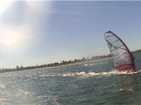 Kyeemagh Photos 8/Dec/2013 - Alfamale's Friends