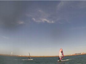 Kyeemagh Photos 8/Dec/2013 - Alfamale's Friends