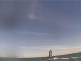 Kyeemagh Photos 8/Dec/2013 - Alfamale's Friends