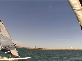 Kyeemagh Photos 8/Dec/2013 - Alfamale's Friends