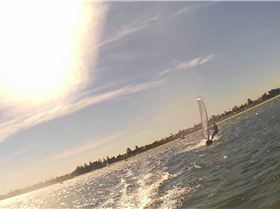 Kyeemagh Photos 8/Dec/2013 - Alfamale's Friends