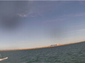 Kyeemagh Photos 8/Dec/2013 - Alfamale's Friends