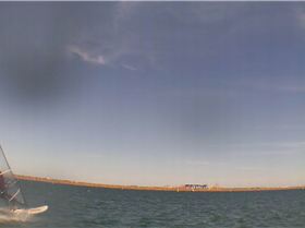 Kyeemagh Photos 8/Dec/2013 - Alfamale's Friends