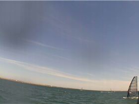 Kyeemagh Photos 8/Dec/2013 - Alfamale's Friends