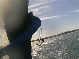 Kyeemagh Photos 8/Dec/2013 - Alfamale's Friends