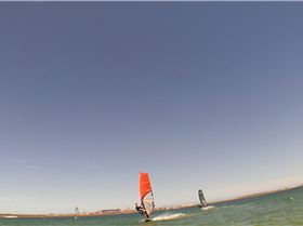 Kyeemagh Photos 8/Dec/2013 - Alfamale's Friends