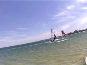 Kyeemagh Photos 8/Dec/2013 - Alfamale's Friends