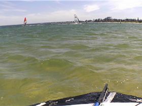 Kyeemagh Photos 8/Dec/2013 - Alfamale's Friends