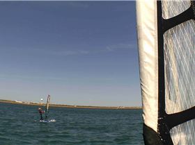 Kyeemagh Photos 8/Dec/2013 - Alfamale's Friends