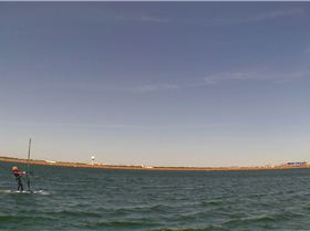 Kyeemagh Photos 8/Dec/2013 - Alfamale's Friends