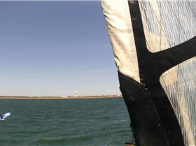 Kyeemagh Photos 8/Dec/2013 - Alfamale's Friends