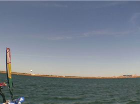 Kyeemagh Photos 8/Dec/2013 - Alfamale's Friends