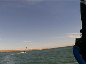 Kyeemagh Photos 8/Dec/2013 - Alfamale's Friends