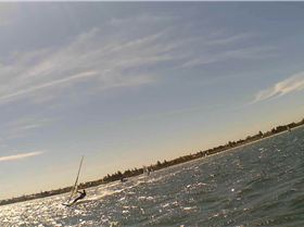 Kyeemagh Photos 8/Dec/2013 - Alfamale's Friends