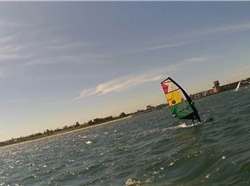 Kyeemagh Photos 8/Dec/2013 - Alfamale's Friends