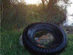 Primbee Tyre Recovery