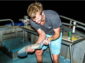 abrolhos 2014