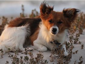 Geraldton last day of 2013